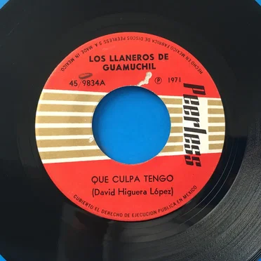 Qué culpa tengo / Las nieves de enero
