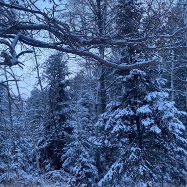 Hypothermia: An Unrequited Love of Winter