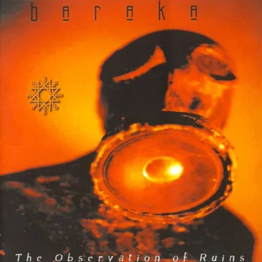 Observation of Ruins by Various Artists - album cover