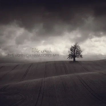 The Voynich Manuscript Mix