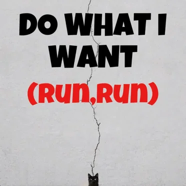 do what i want (run,run) by 3than - album cover