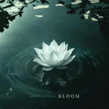 Bloom