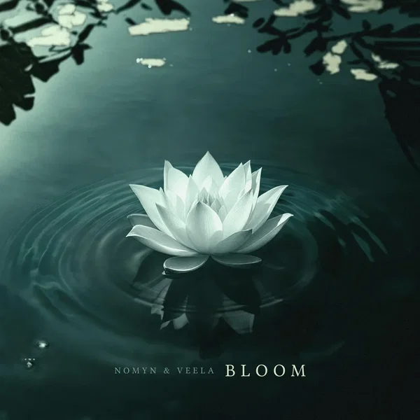 Bloom