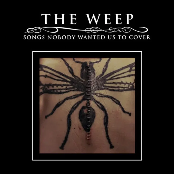 Songs Nobody Wanted Us To Cover