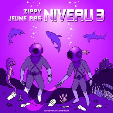 Niveau 3 by Jeune Ras - album cover