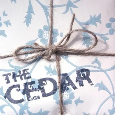 I'm Always Explaining To Mom How It Is Different Here by The Cedar - album cover
