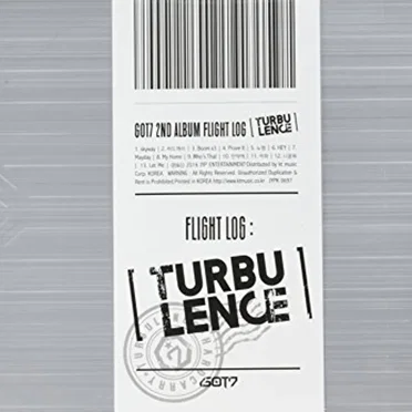 FLIGHT LOG : TURBULENCE