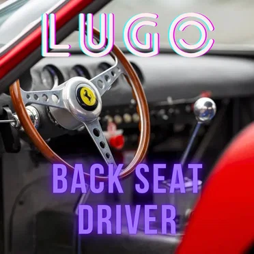 Back Seat Driver