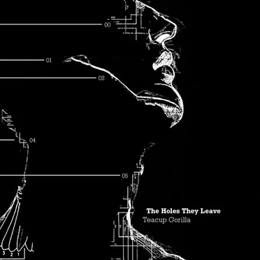 The Holes They Leave