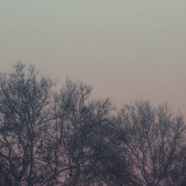 Don’t Worry, I’m With You