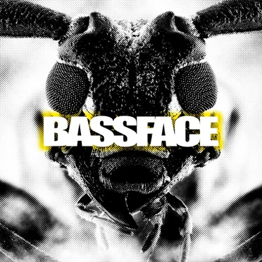 Bassface by Carpe Diem - album cover