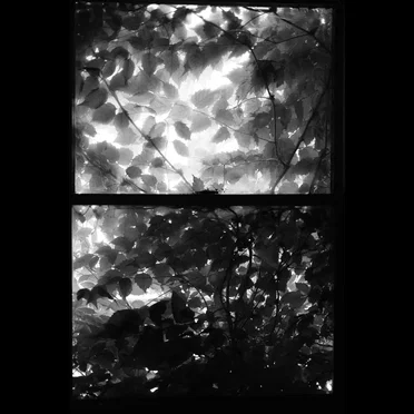 Chiaroscuro