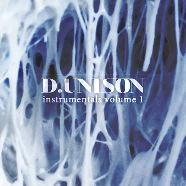Instrumentals, Volume 1 by D. Unison - album cover