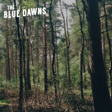 I've Seen the Signs by The Blue Dawns - album cover