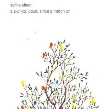 A Sky You Could Strike a Match On by Syrinx Effect - album cover