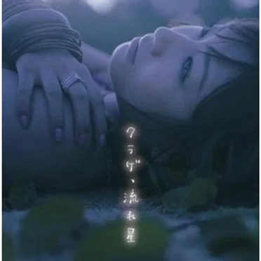 クラゲ、流れ星