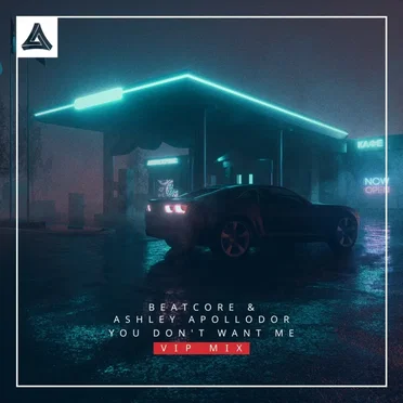 You Don't Want Me (VIP mix)