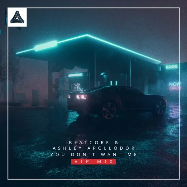 You Don't Want Me (VIP mix)