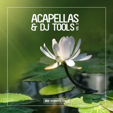 Enormous Tunes - Acapellas & DJ Tools, Vol. 2 by Various Artists - album cover