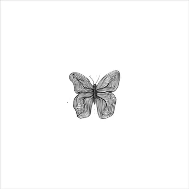 Metamorphosis