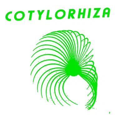 Cotylorhiza