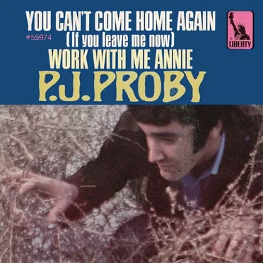 You Can’t Come Home Again / Work with Me Annie