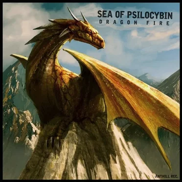 Dragon Fire by Sea of Psilocybin - album cover
