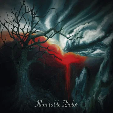 Illimitable Dolor by Illimitable Dolor - album cover