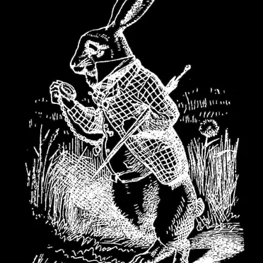 bedtime stories : alice's adventures in wonderland (ASMR): chapter 1