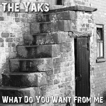 The Yaks