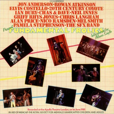 Fundamental Frolics by Various Artists - album cover