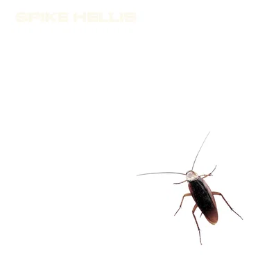 By God by Spike Hellis - album cover
