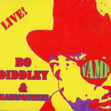 Hey... Bo Diddley In Concert