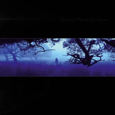 Great North Star by Great North Star - album cover