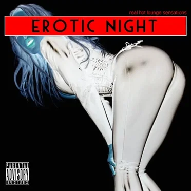 Erotic Night - Real Hot Lounge Sensations by Various Artists - album cover