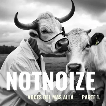 Voces del mas allá 1.