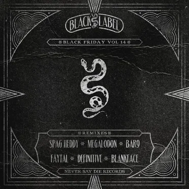 Black Friday, Vol. 14 by Various Artists - album cover