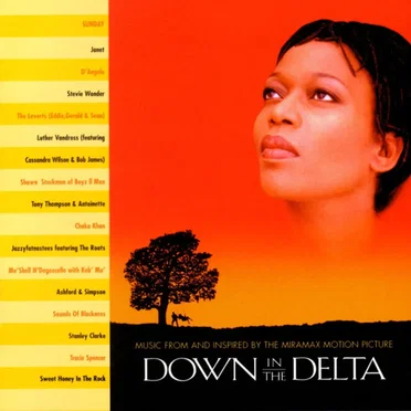 Down in the Delta by Various Artists - album cover