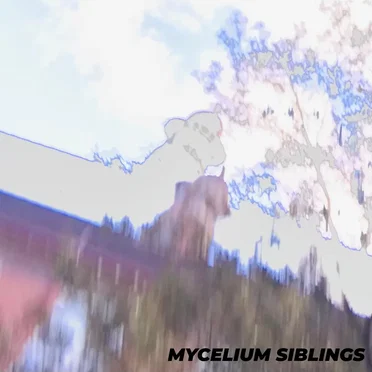 walking around town by mycelium siblings - album cover