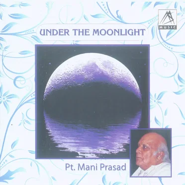 Under The Moonlight