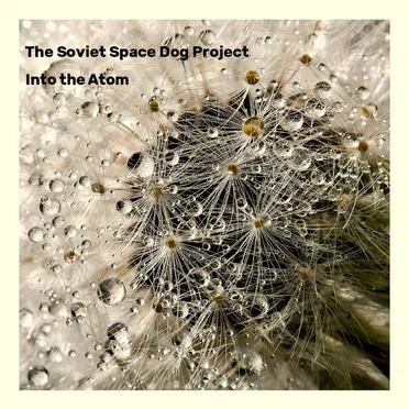 Into the Atom