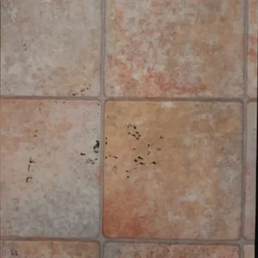 Lino
