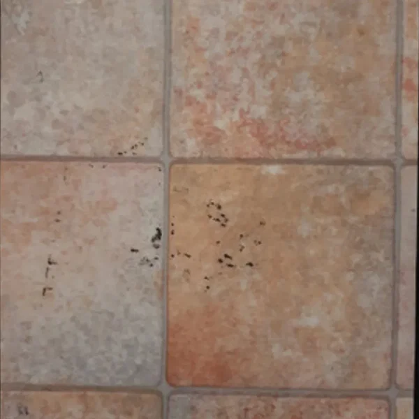Lino