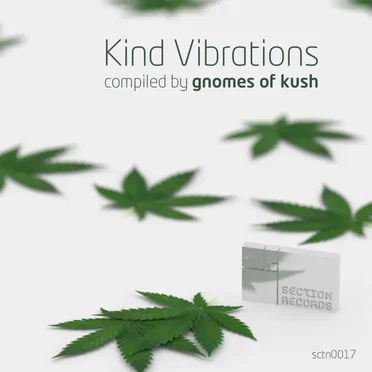 Kind Vibrations by Various Artists - album cover