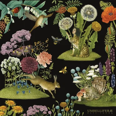 Umbelliferæ by Kate Young - album cover