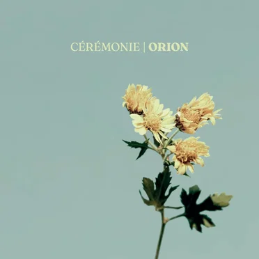 Orion