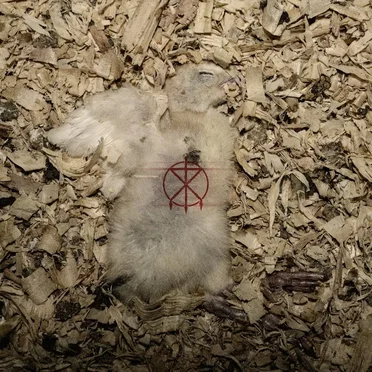 Deadskin Skimask by To The Grave - album cover