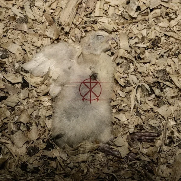 Deadskin Skimask