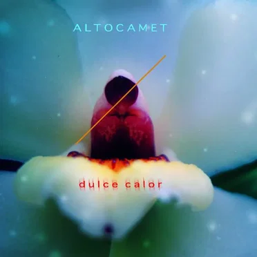 Dulce calor by Altocamet - album cover