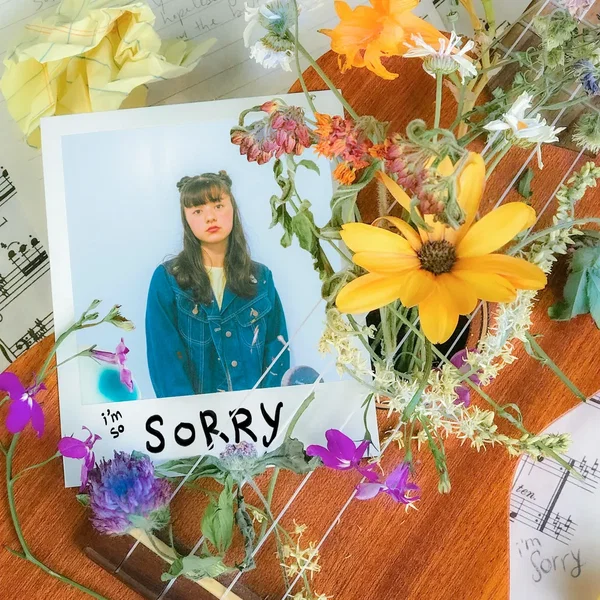 The Sorry Song